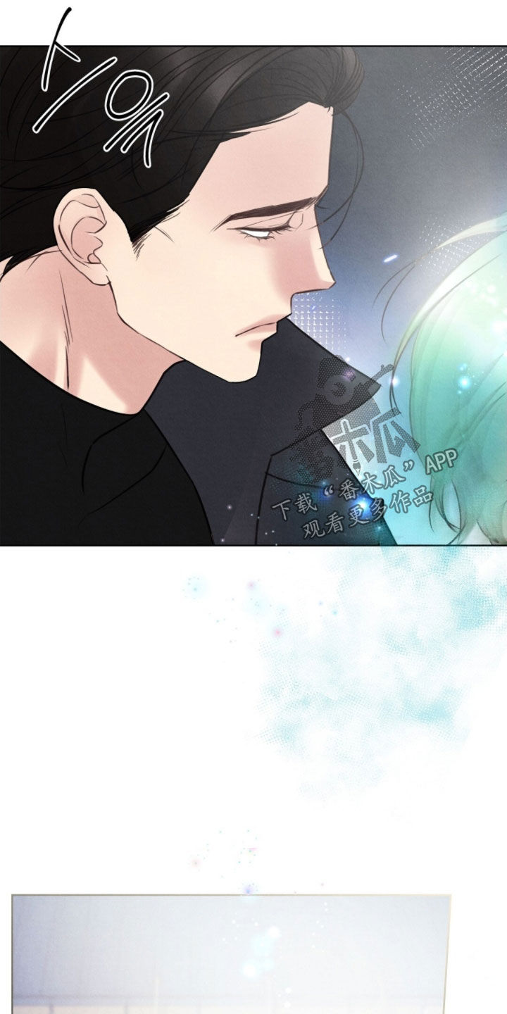 雨花石漫画,第45章：追踪4图