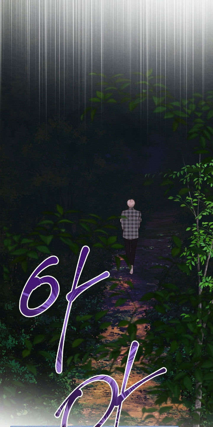 第46章：完美无缺4
