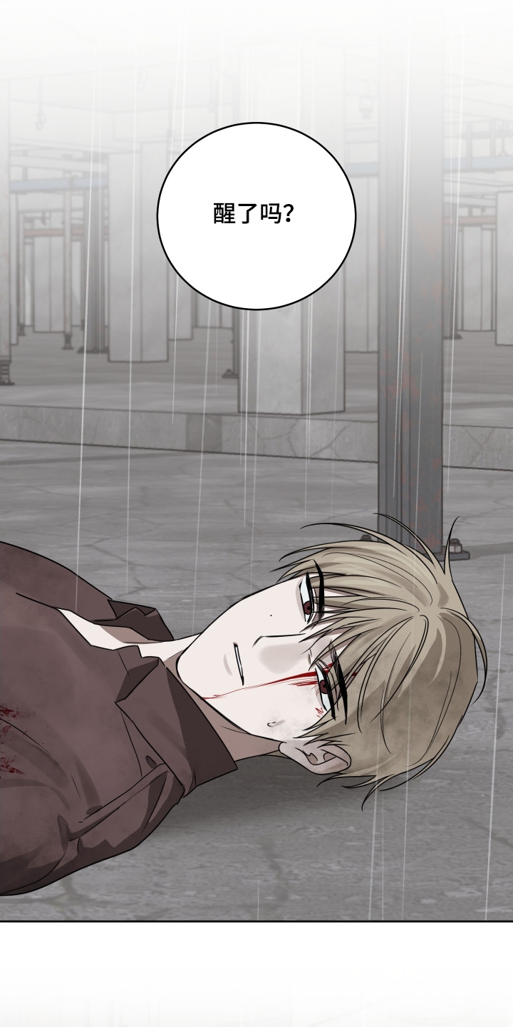 绯色修仙漫画,第41章：没有背叛4图