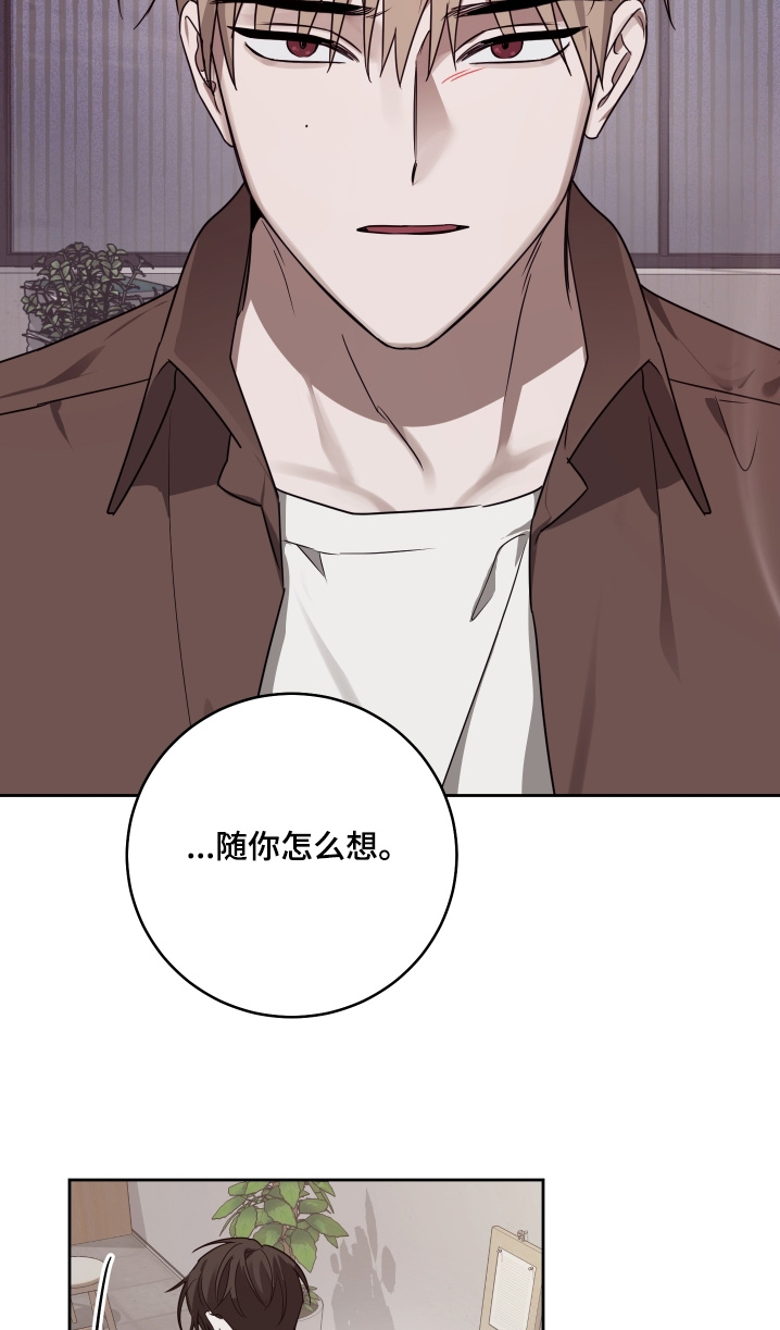 绯色默示漫画更新漫画,第39章：没有欺骗你5图