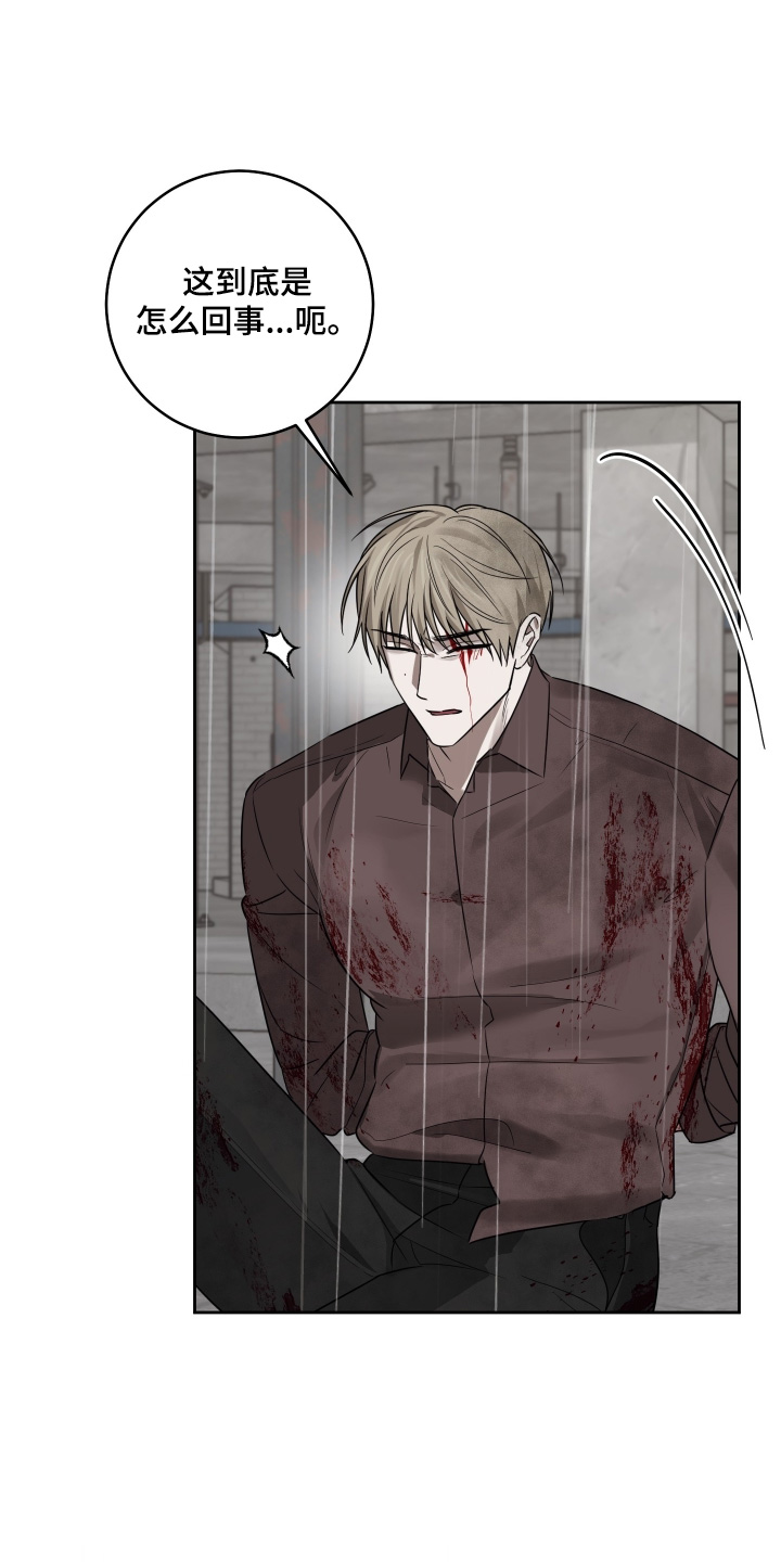 绯色默示漫画更新漫画,第41章：没有背叛1图