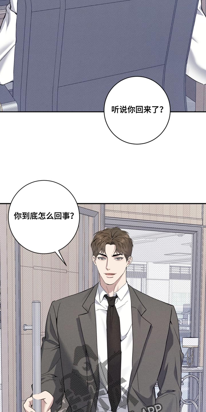 突变欧米伽漫画,第41章：一点都不像你2图