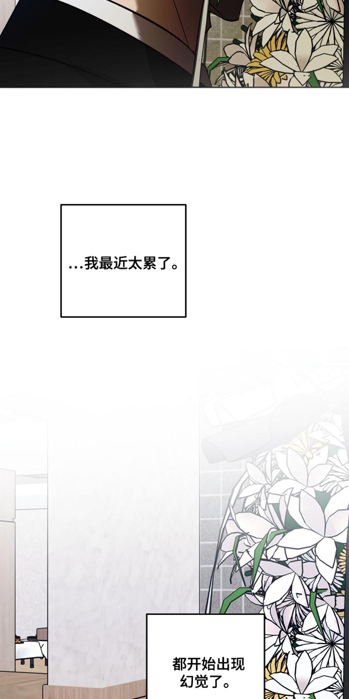 前世的祈愿漫画角色介绍漫画,第43章：幻觉4图