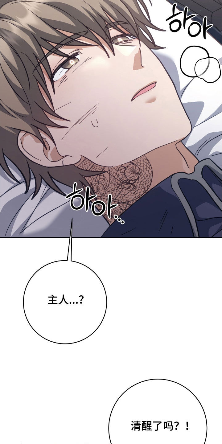 觉醒枪魂气息完整版漫画,第39章：相信我1图