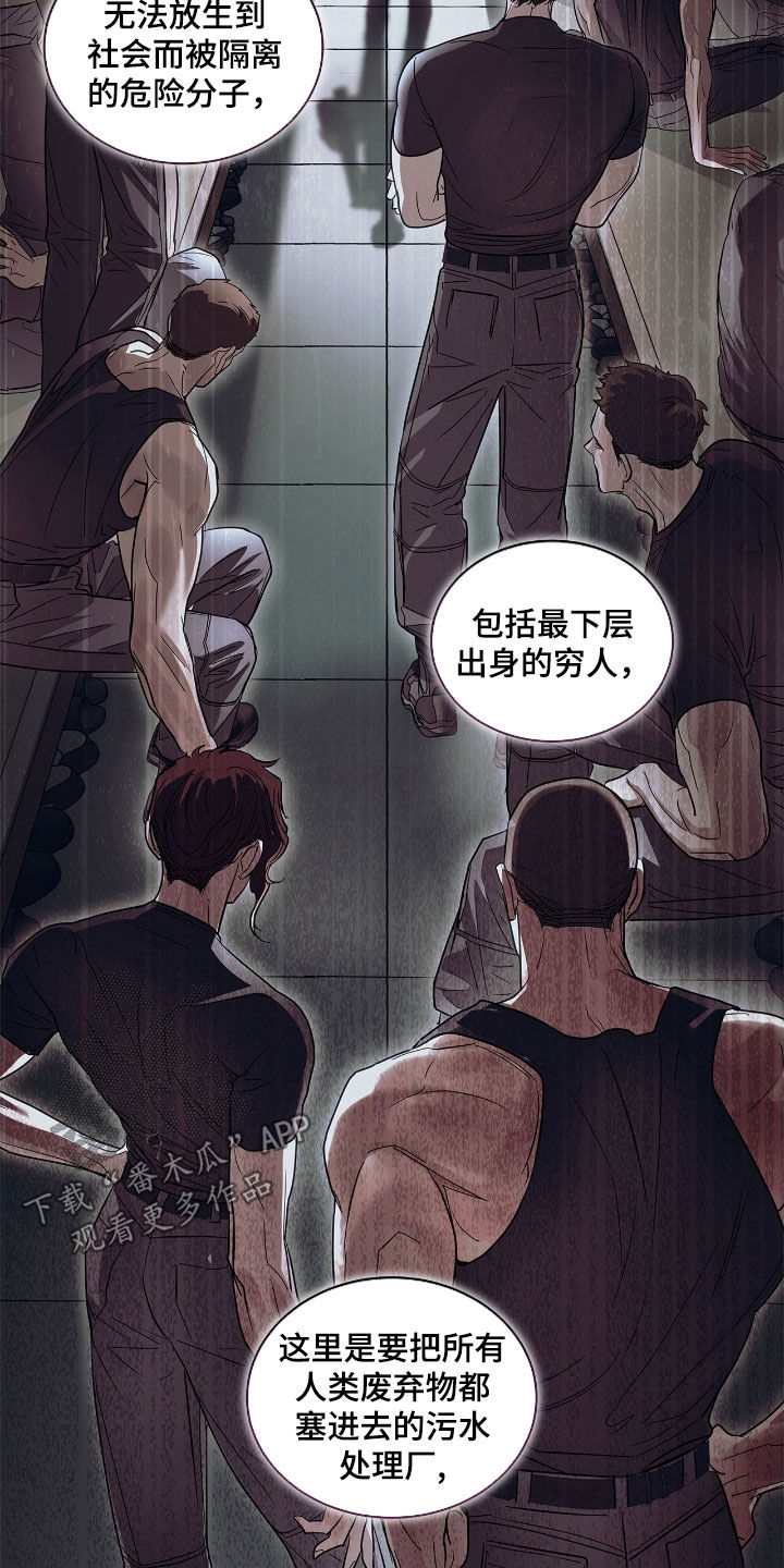 白夜赎罪漫画,第39章：炮灰1图