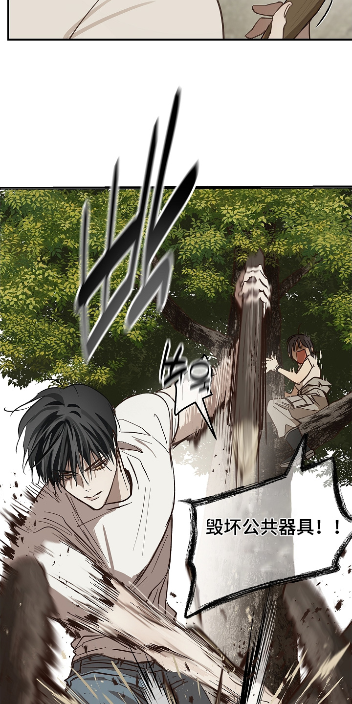 诱饵之花漫画,第78章：野猪4图