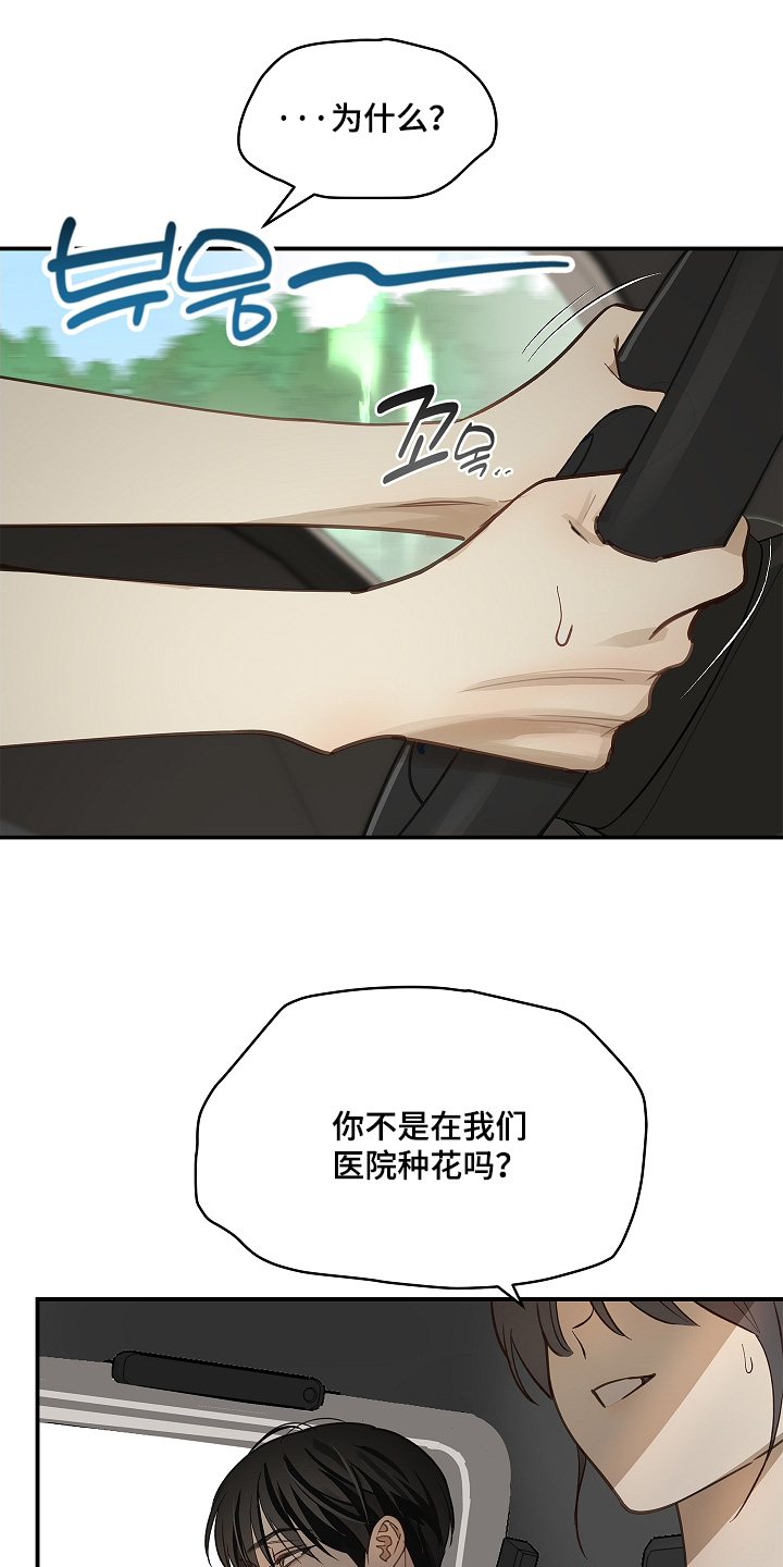 花是诱饵后续剧情漫画,第75章：你没事吧3图