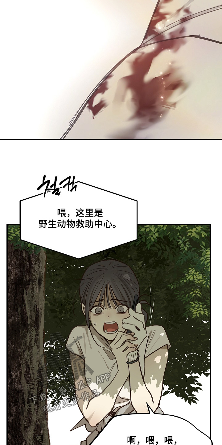 花是诱饵漫画剧情漫画,第79章：千万不能死1图