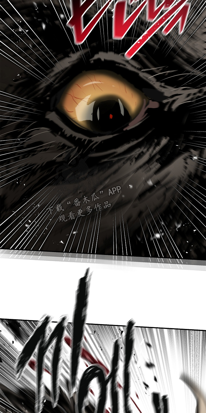 花是诱饵漫画剧情漫画,第79章：千万不能死2图