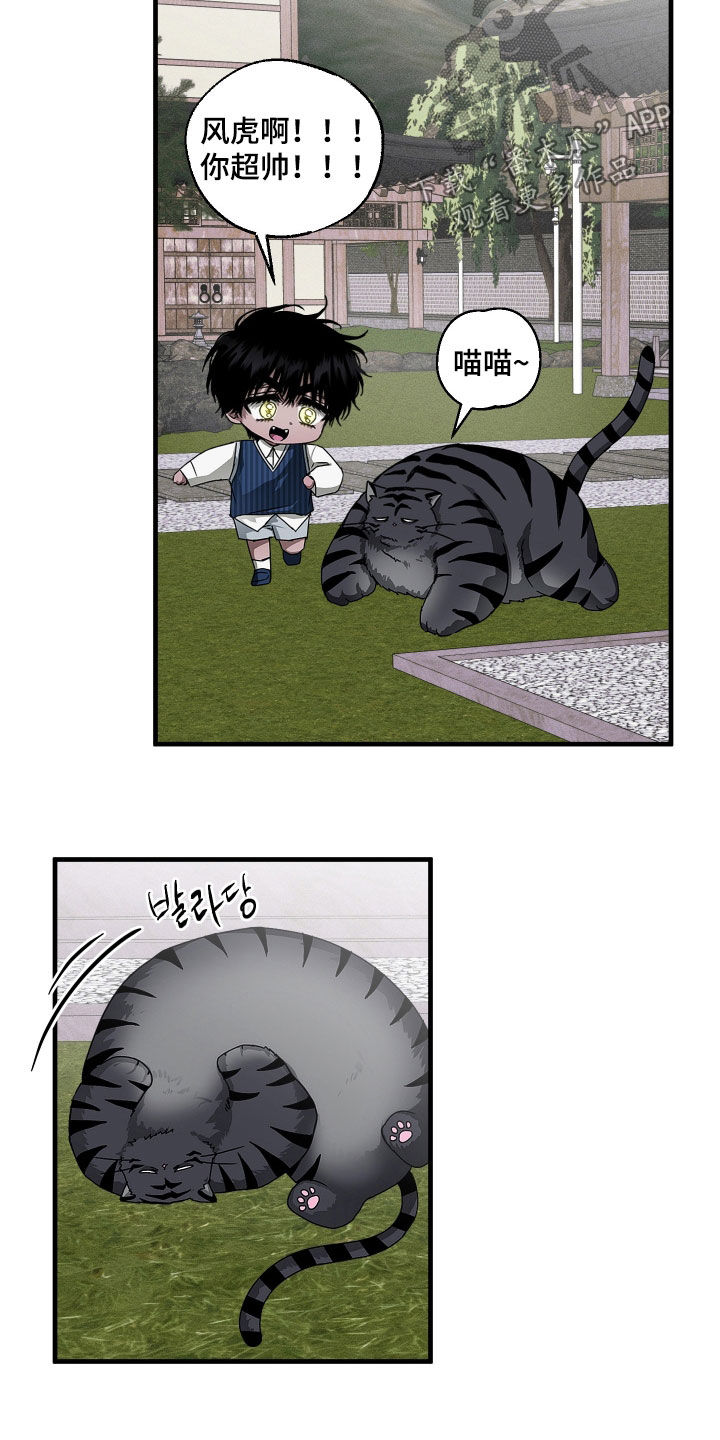 父仇者联盟漫画,第25章：胖猫风虎5图
