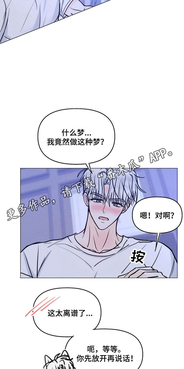 逆光而来的你漫画,第26章：认定了5图
