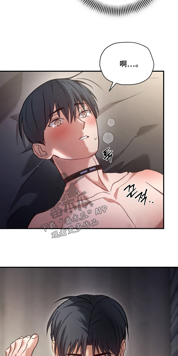 双生迷雾全集免费完整版漫画,第31章：结束了5图