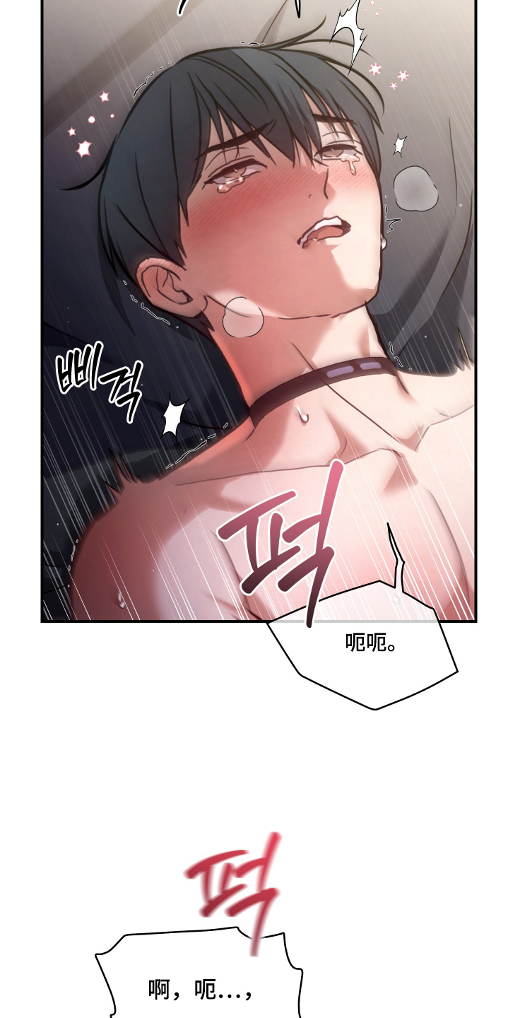 双生迷雾全集免费完整版漫画,第31章：结束了2图