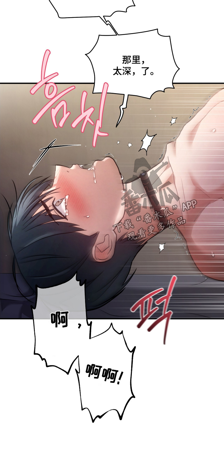 双生迷雾全集免费完整版漫画,第31章：结束了3图