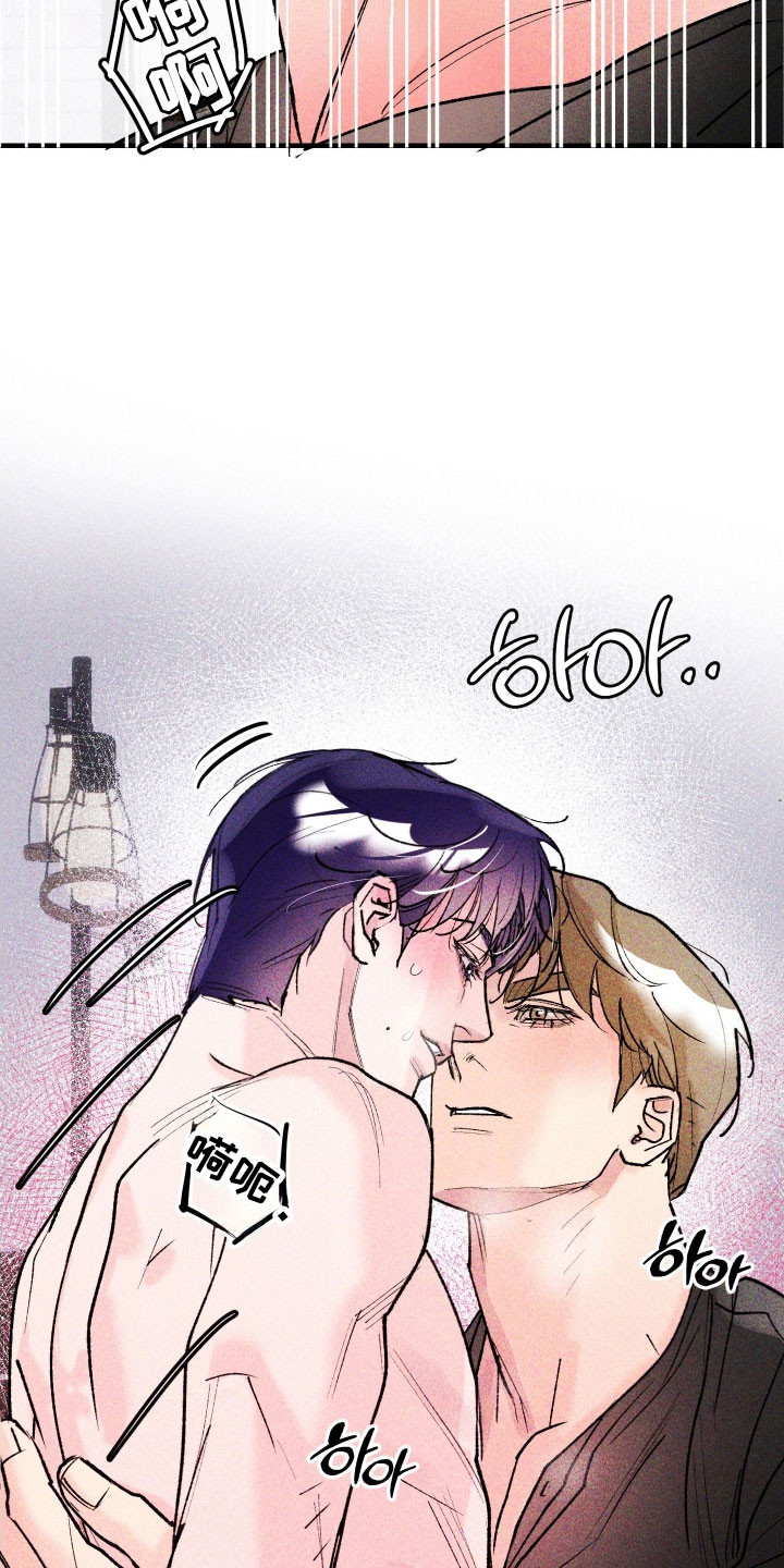 紫罗兰花的寓意和象征漫画,第22章：你的最爱4图