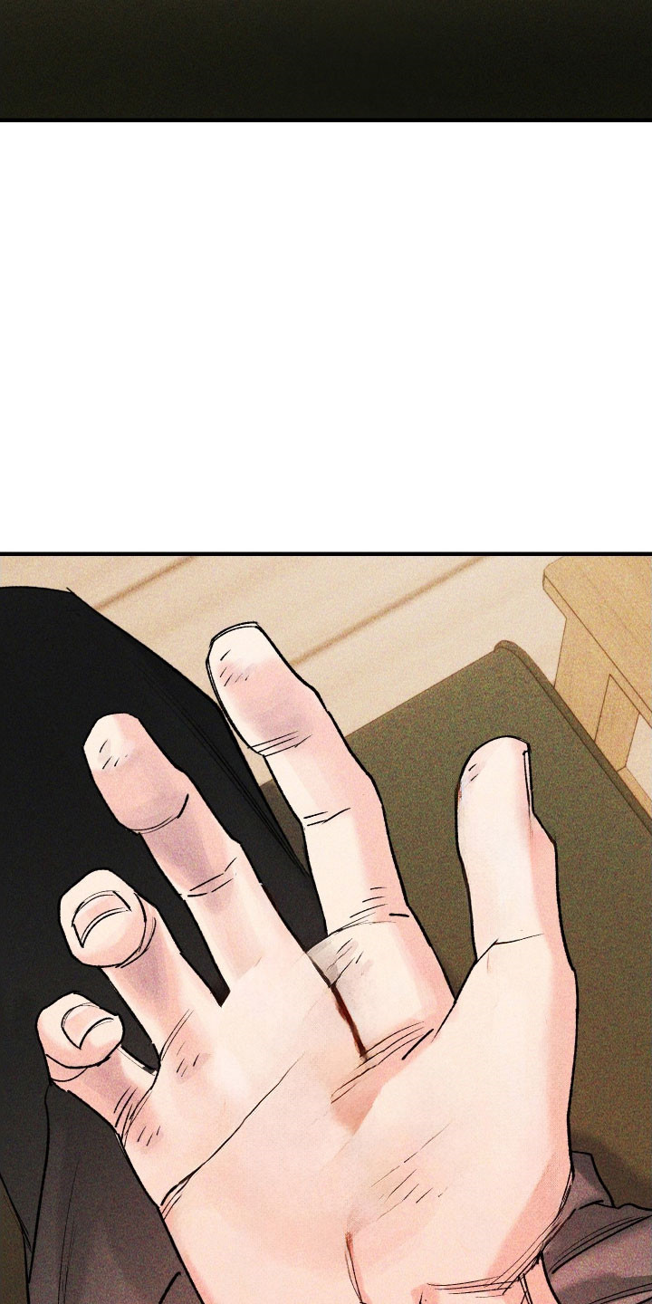 紫罗兰协议漫画,第22章：你的最爱3图