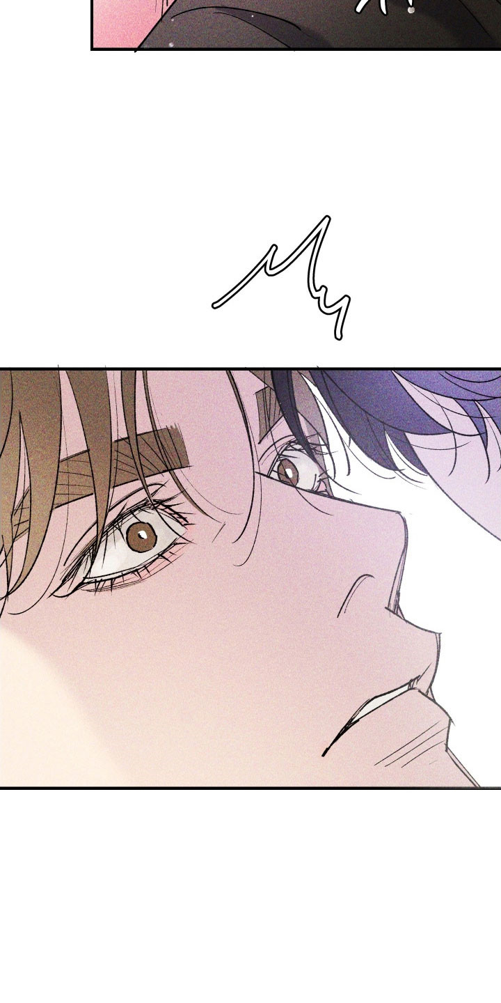 紫罗兰协议漫画,第22章：你的最爱4图