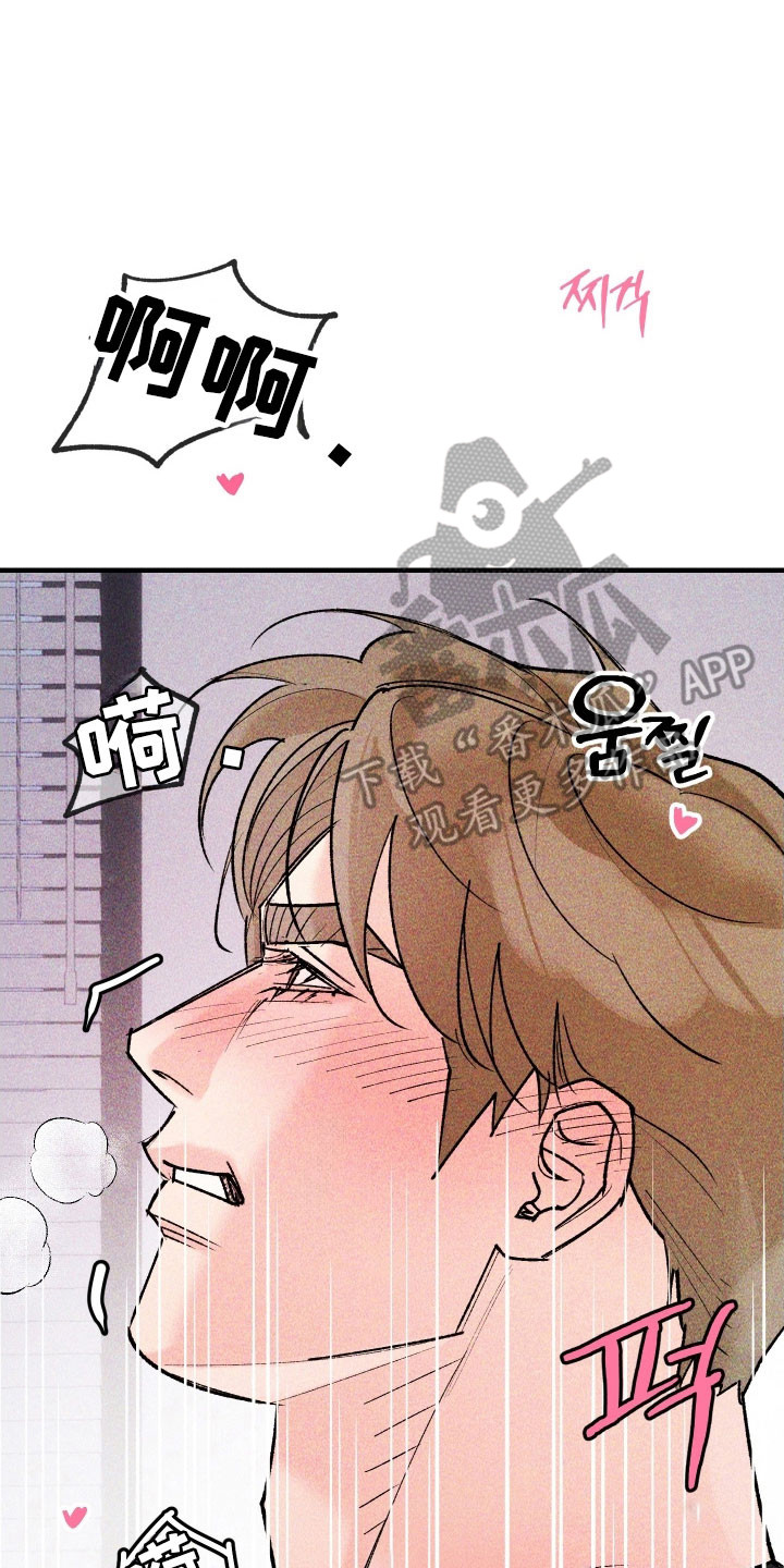紫罗兰花的寓意和象征漫画,第22章：你的最爱3图