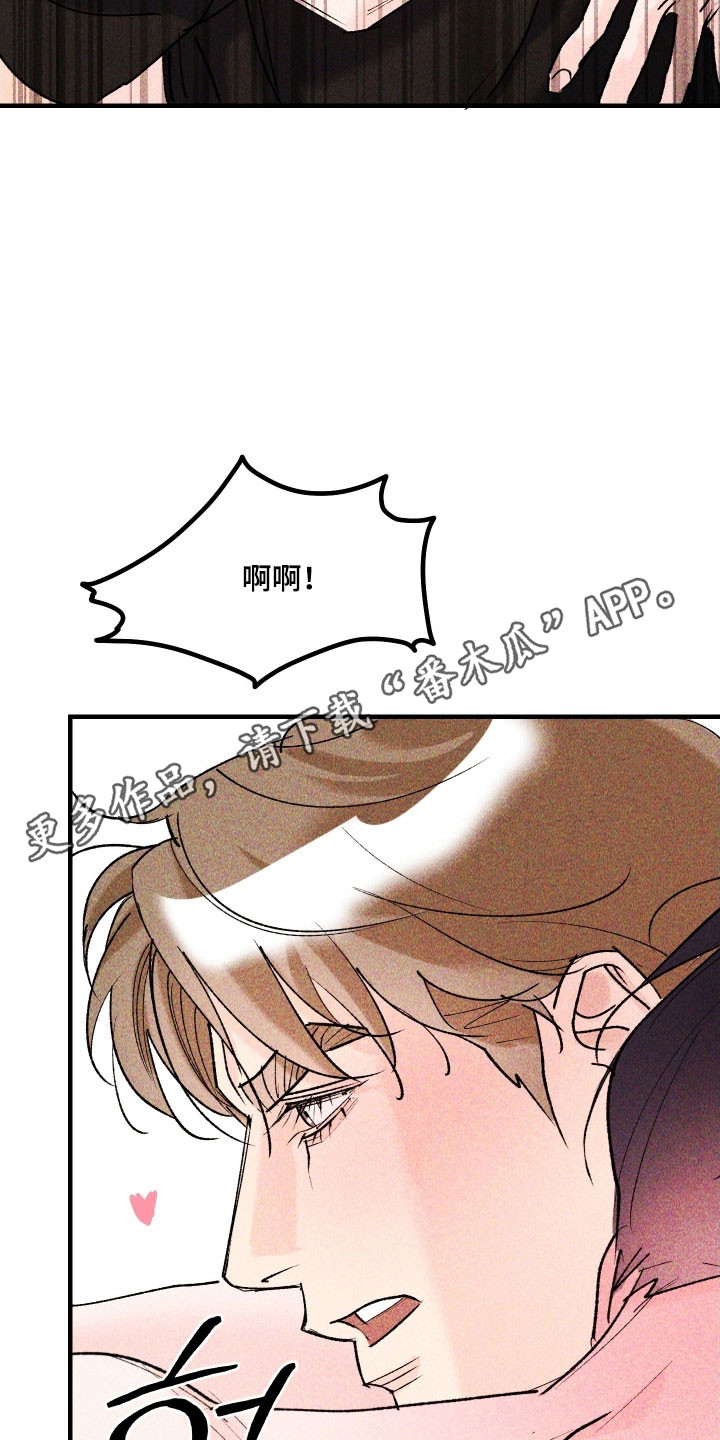紫罗兰协议漫画,第22章：你的最爱1图