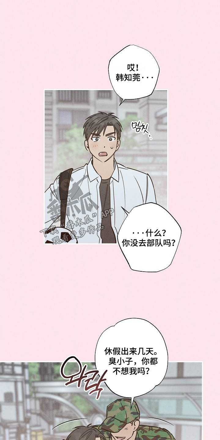 七日追膘添加剂效果怎么样漫画,第31章：早知道见一面2图