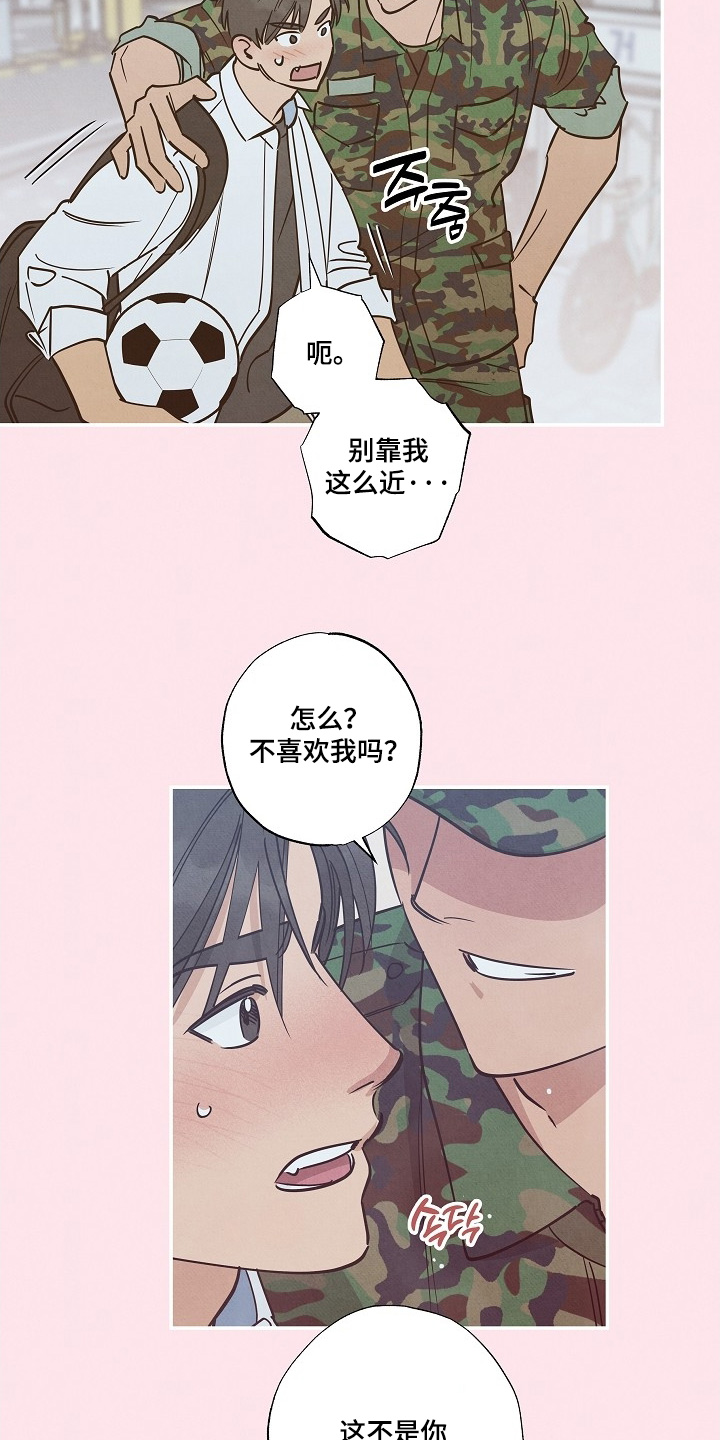七日追膘添加剂效果怎么样漫画,第31章：早知道见一面3图