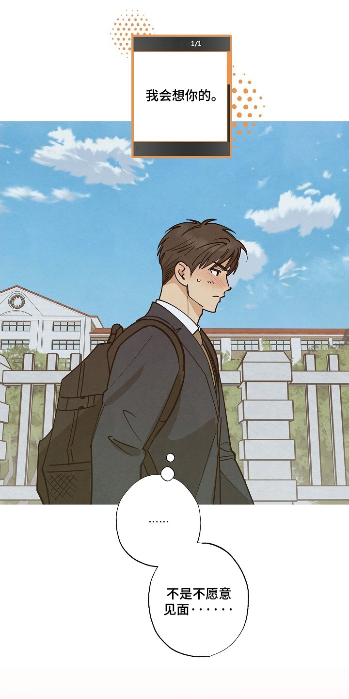 七日追寻漫画,第31章：早知道见一面5图