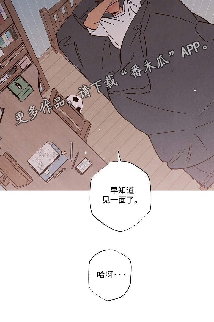 七日追膘添加剂效果怎么样漫画,第31章：早知道见一面3图