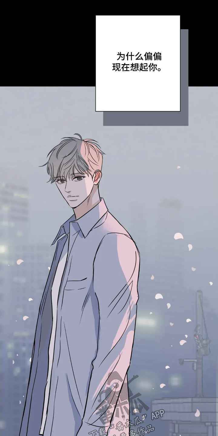 月亮和前夫离婚原因漫画,第36章：去哪里2图