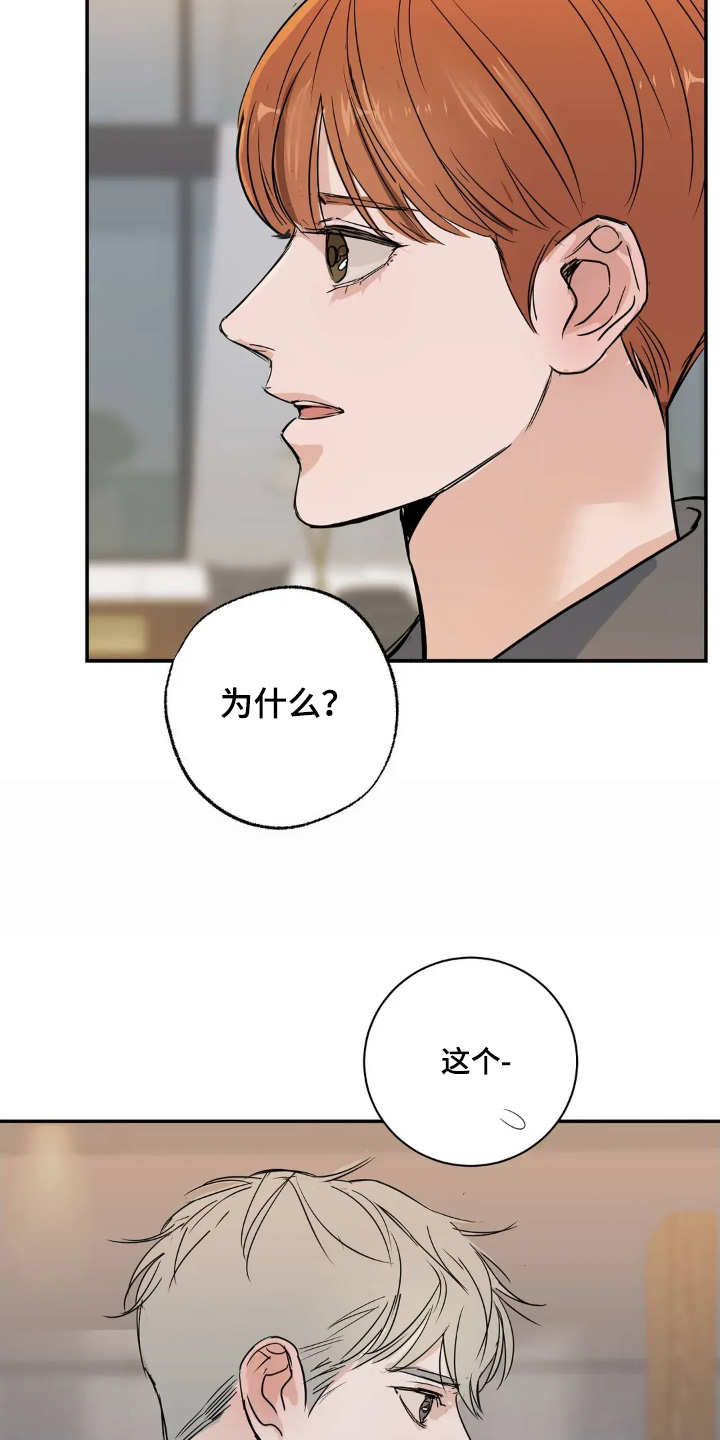 月亮和祖母绿漫画,第30章：还能为什么4图