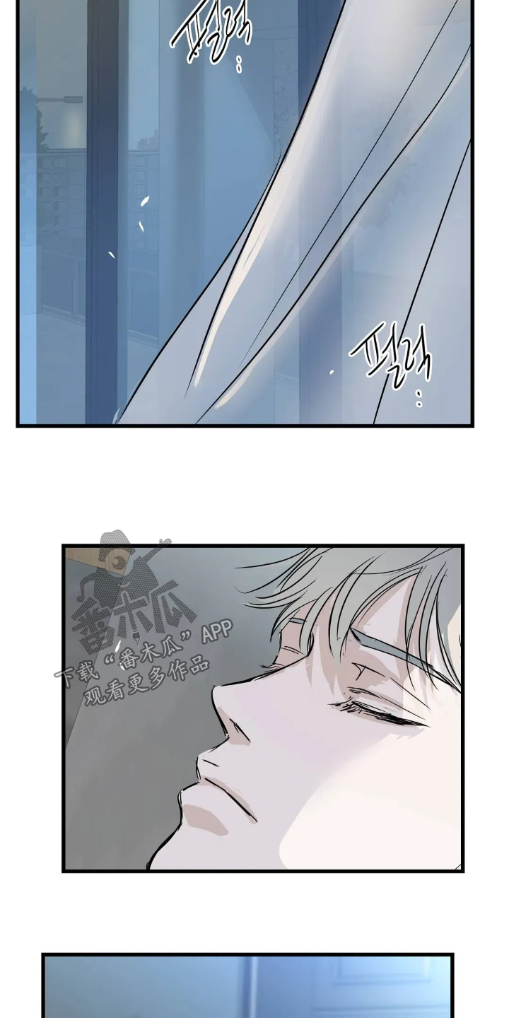 五月份的祖母绿漫画,第33章：照片1图