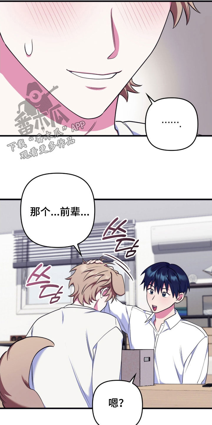 雨声与心跳共振漫画,第31章：评价兼职3图