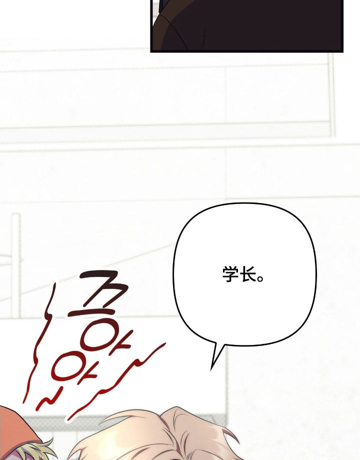 心跳共振抖音团购漫画,第26章：最后的司康3图