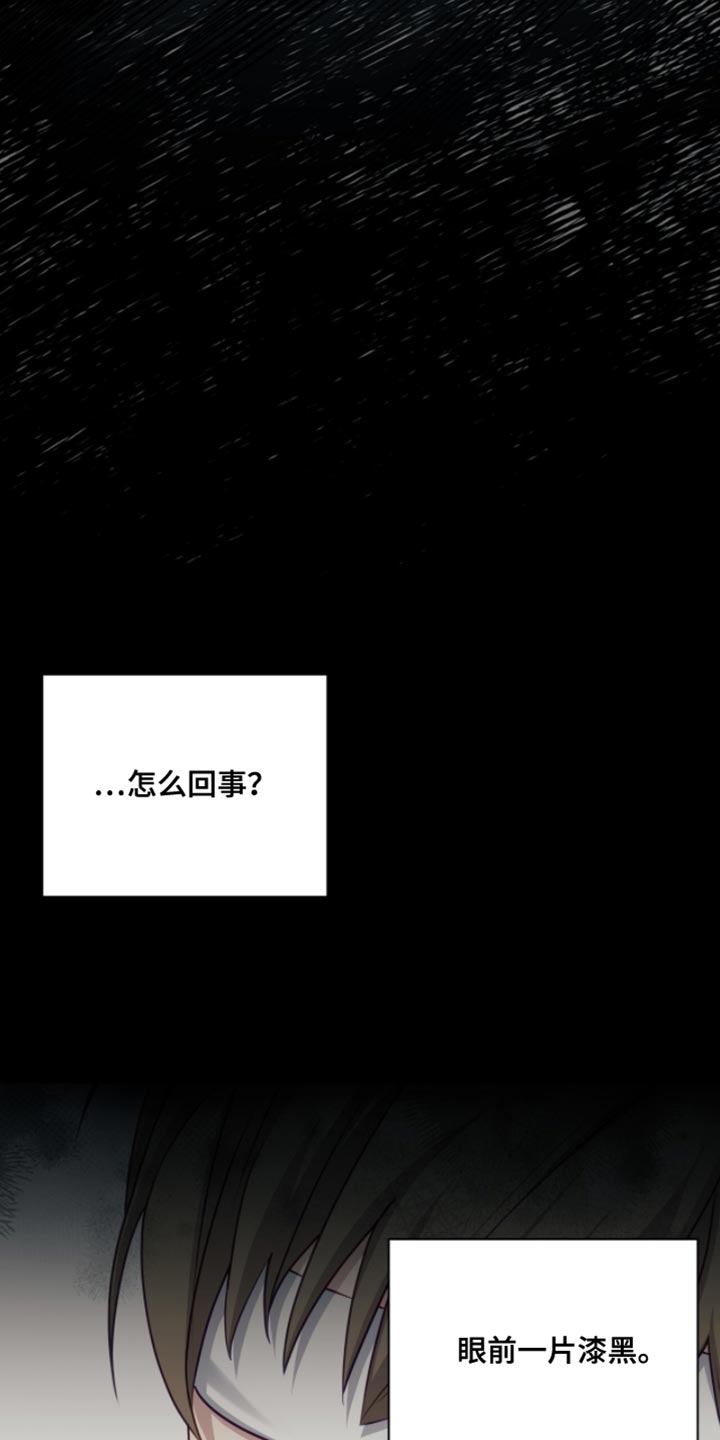 香稻米漫画,第25章：绑架5图