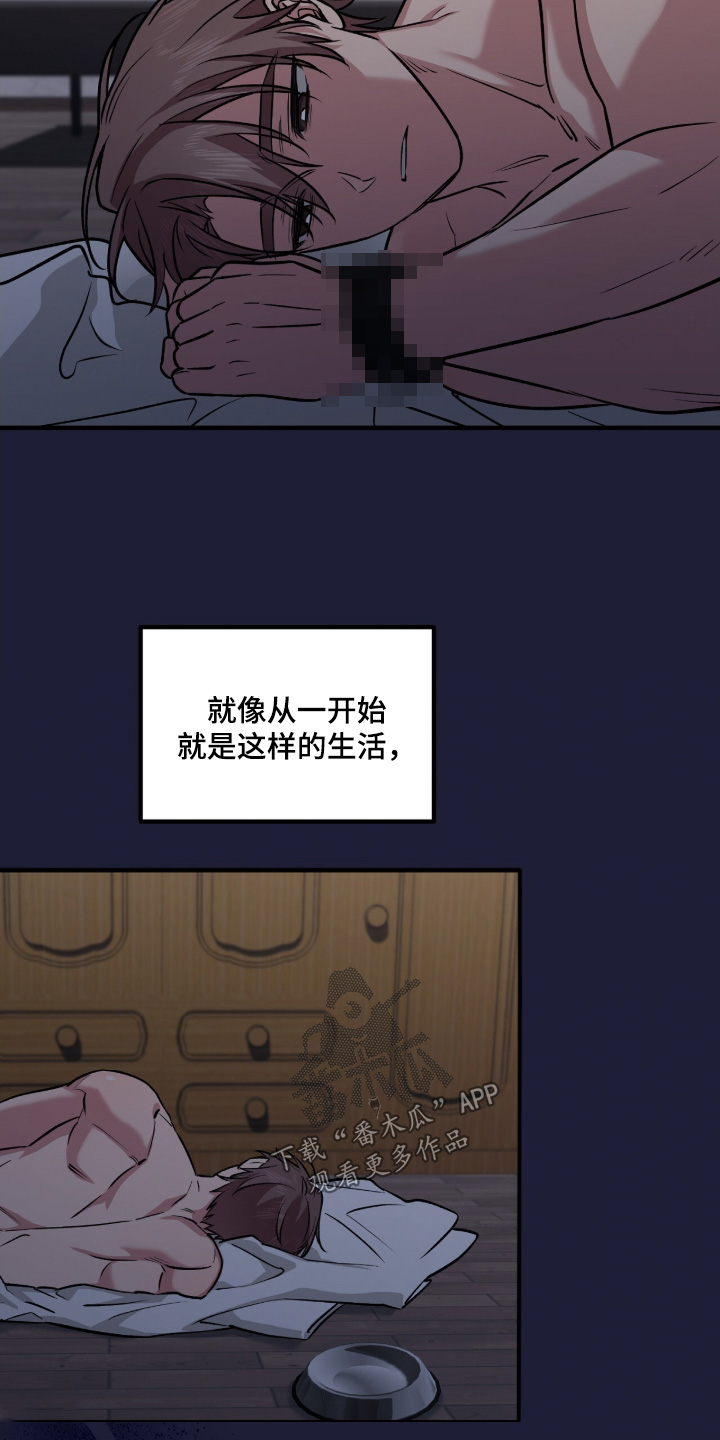活体快递漫画,第9章：不要废话2图