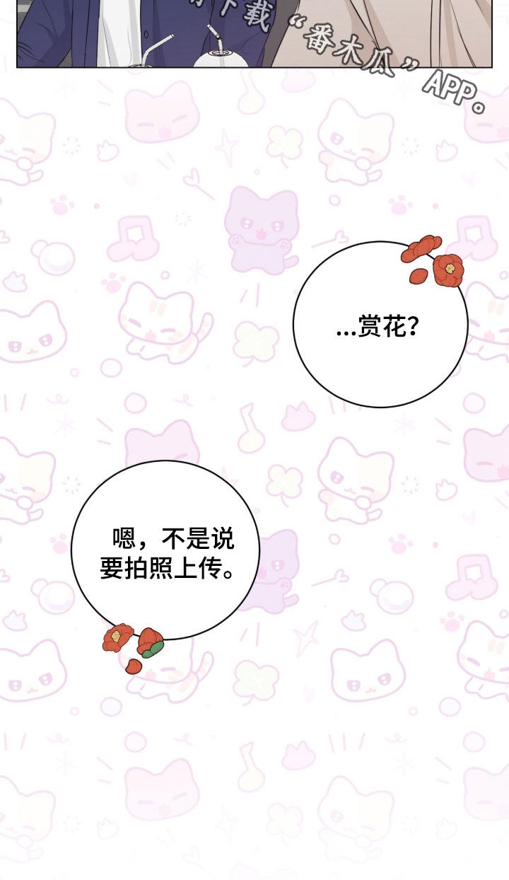 强制社保是每个月必须交吗漫画,第24章：赏花4图