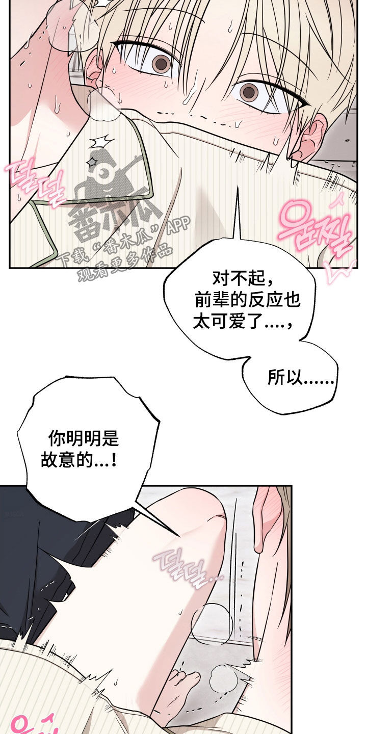 偶像有哪些魅力漫画,第16章：我不是故意的5图