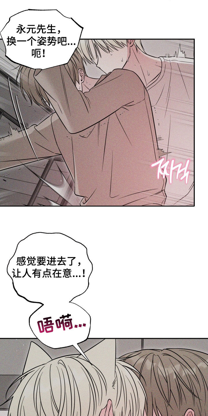 哎哟偶像猫咪漫画,第18章：别担心2图