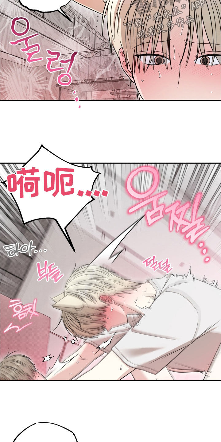 偶像有哪些类型漫画,第17章：耳朵消失了2图