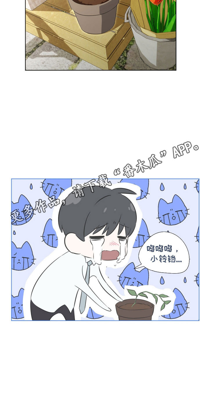 电吉他和领带完结了吗漫画,第20章：快点回家1图