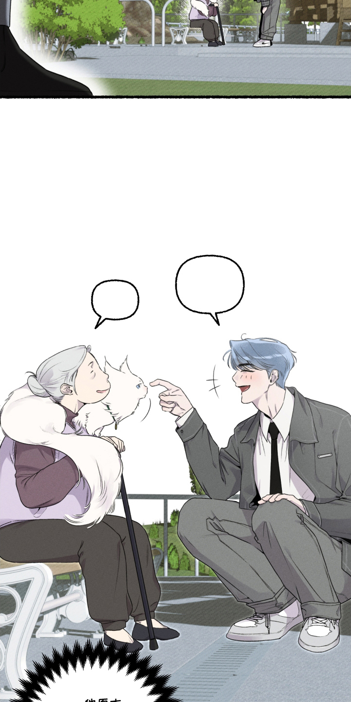 瓶中的海男漫画,第11章：赶紧行动4图