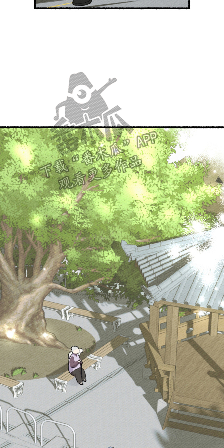 瓶中的海男漫画,第11章：赶紧行动1图