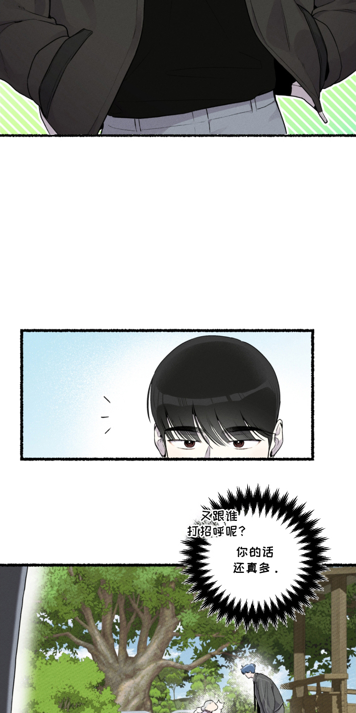 瓶中的海男漫画,第11章：赶紧行动3图