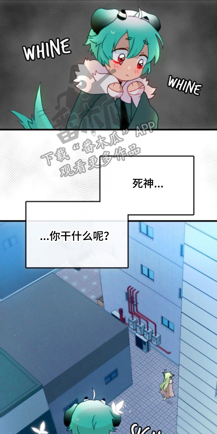 没勾完的死神名单漫画,第20章：助手4图