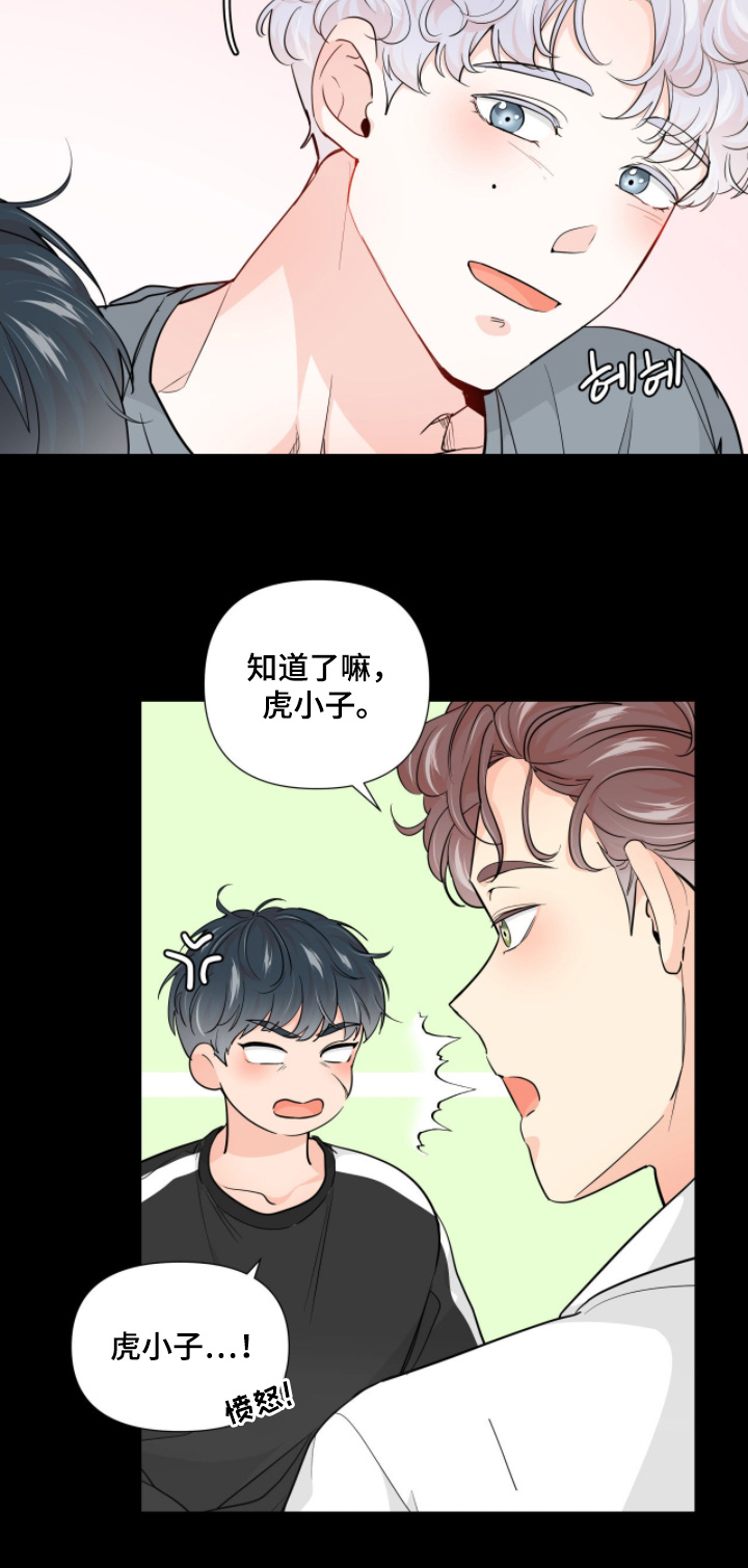 虎坠人间漫画,第15章：稳住了5图
