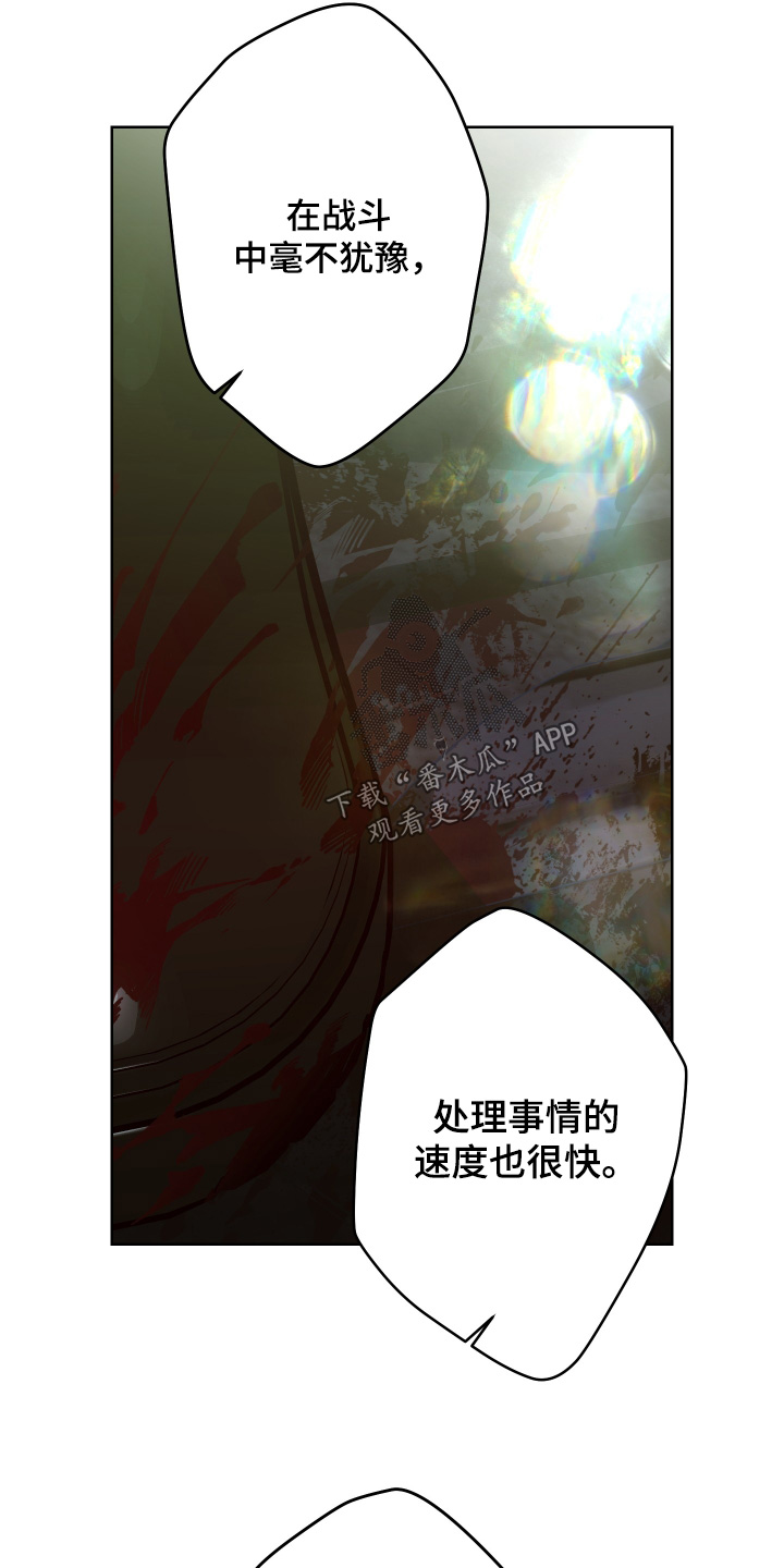 倒悬玫瑰漫画,第17章：有她的消息3图