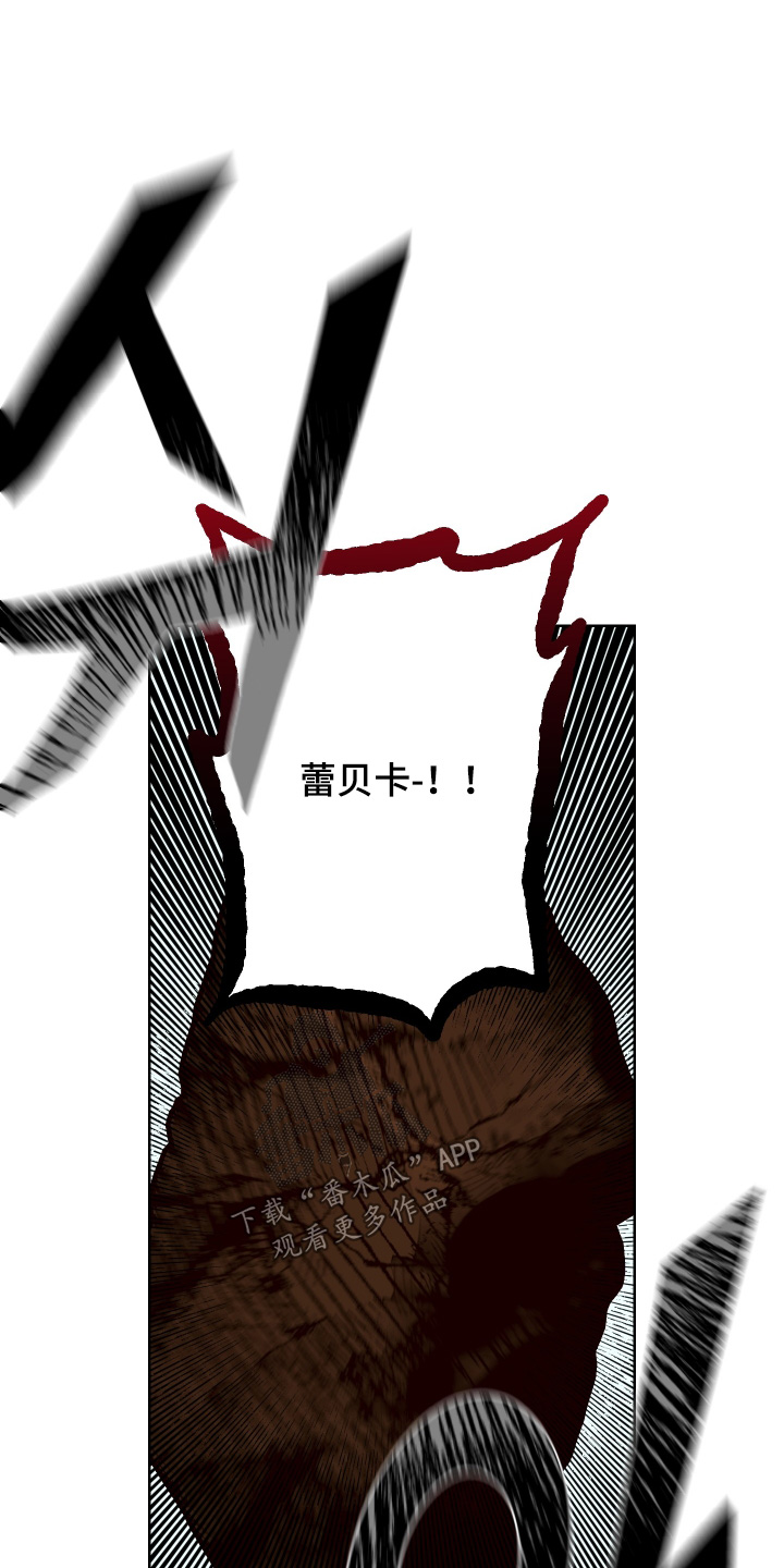 倒悬玫瑰漫画,第17章：有她的消息3图