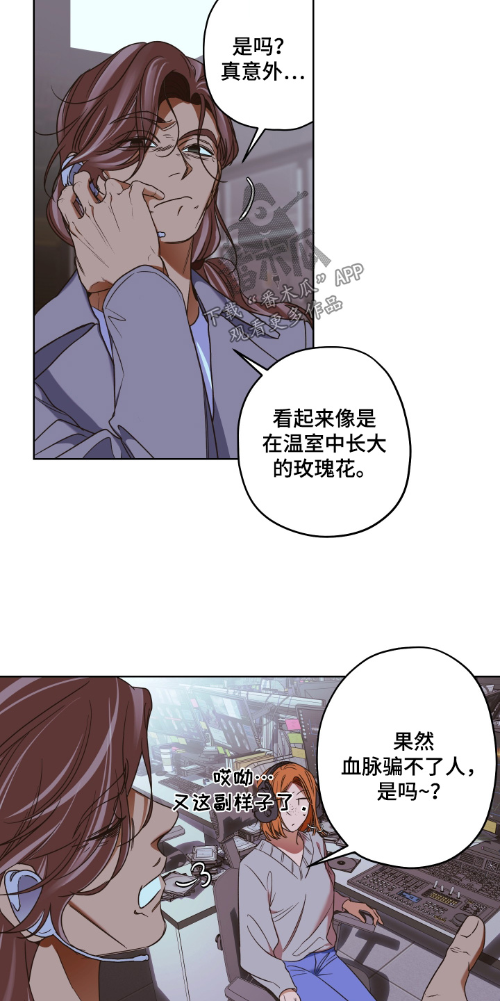 倒悬玫瑰漫画,第17章：有她的消息5图