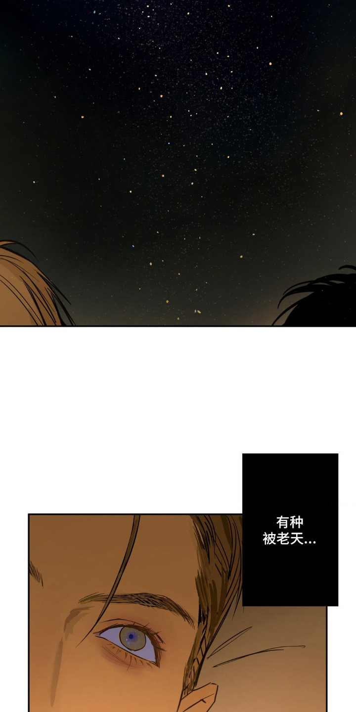羔羊胃提取物维b12胶囊漫画,第7章：寂静的夜5图