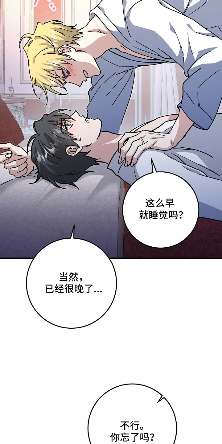 第2章：真心的1