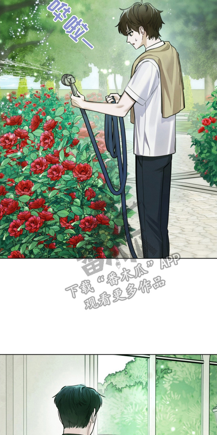 温柔的背后小说漫画,第5章：挺新鲜的2图